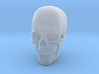 Full-Color 1:6 Scale Human Skull 3d printed 