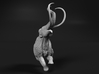 Woolly Mammoth 1:12 Male stuck in swamp 3d printed 