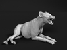 Spotted Hyena 1:35 Lying Male 3d printed 