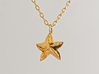 Sea Star Pendant 3d printed 