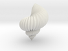 hoover rufflestratus shell - seashell 3d printed 