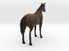 Horse Arabian 3d printed 