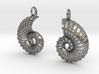 Nautilus Shell Earrings 3d printed 