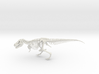 Tyrannosaurus Skeleton Sue 40 cm long.  3d printed 