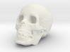 skull 3d printed 
