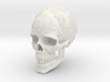 Ornamented Skull 3d printed 