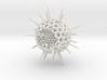 Spiky Spumellaria Sculpture - Science Gift 3d printed 