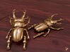 Smokey Beetle Earrings 3d printed 