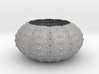 Sea Urchin Bowl 3d printed 