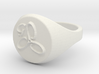 ring -- Wed, 01 Jan 2014 19:38:29 +0100 3d printed 