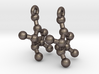 Earrings (Pair)- Molecule- Fructose 3d printed 