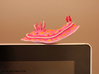 Lani the Nudibranch 3d printed Hand Painted White Strong & Flexible Polished - on computer monitor! 