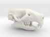 Rat Skull 3d printed 