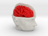 Half Brain  3d printed 
