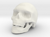 Skull 3d printed 