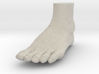 Solid Foot - 4.4" Length 3d printed 