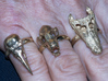Alligator Skull Adjustable Ring 3d printed Crow, Fruit Bat and Alligator rings in Brass
