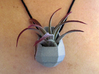 Low-Poly Planter Necklace Pendant 3d printed 