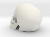 Skull  3d printed 