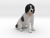 Custom Dog Figurine - Abby 3d printed 