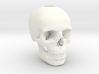 25mm 1in Keychain Bead Human Skull 3d printed 