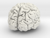 Brain replica full scale from MRI scan 3d printed 