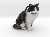 Custom Cat Figurine - Casey 3d printed 