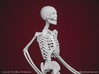 Harpy Skeleton 3d printed 