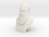 Charles Darwin 9" Bust 3d printed Charles Robert Darwin, 12 February 1809 – 19 April 1882 was an English naturalist and geologist, best known for his contributions to evolutionary theory. He established that all species of life have descended over time from common ancestors, and in a join