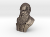 Charles Darwin 2" Bust 3d printed 