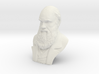 Charles Darwin 12" Bust 3d printed 