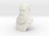 Charles Darwin 16" Bust 3d printed 