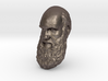 Charles Darwin 15" Life Size Head, Wall Mount 3d printed 