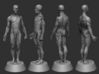 Anatomy Body 3d printed FULL Assemble Preview 