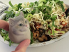 Heavy Breathing Cat 3d printed CHIPOTLE! 