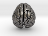 Orangutan Brain 3d printed 