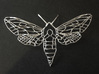 The Spurge Hawk-moth  3d printed 