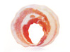 Bacon Mobius Strip 3d printed Uncoated Back