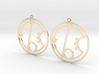 Brie - Earrings - Series 1 3d printed 