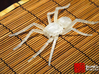 Articulated Spider (Lycosa erythrognata.) 3d printed 