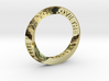 Live The Life You Love - Mobius Ring 3d printed 