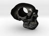 Homo erectus pendant 3d printed 