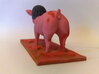 berlupig  3d printed 