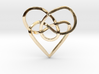 Infinity Heart Knot Pendant 3d printed 