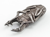 Stag Beetle 3d printed Stainless Steel