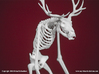 Wendigo Skeleton 3d printed 
