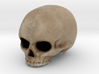 Skull in Color 3d printed 