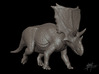 Chasmosaurus Belli 1/40 3d printed 