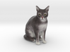Custom Cat Figurine - Binx 3d printed 