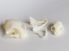 Mid-Sized Cat Skull Sculpture 3d printed Side view with parts separated